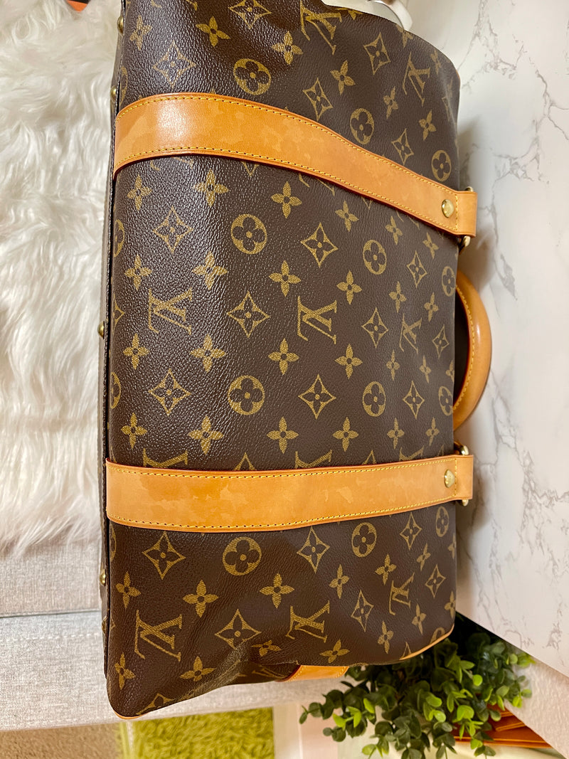 LOUIS VUITTON Monogram Canvas Caryall