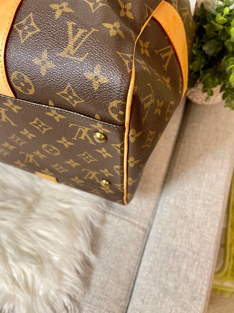 LOUIS VUITTON Monogram Canvas Caryall