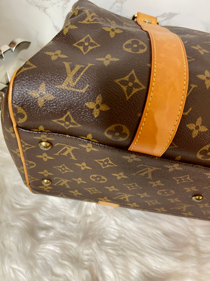 LOUIS VUITTON Monogram Canvas Caryall