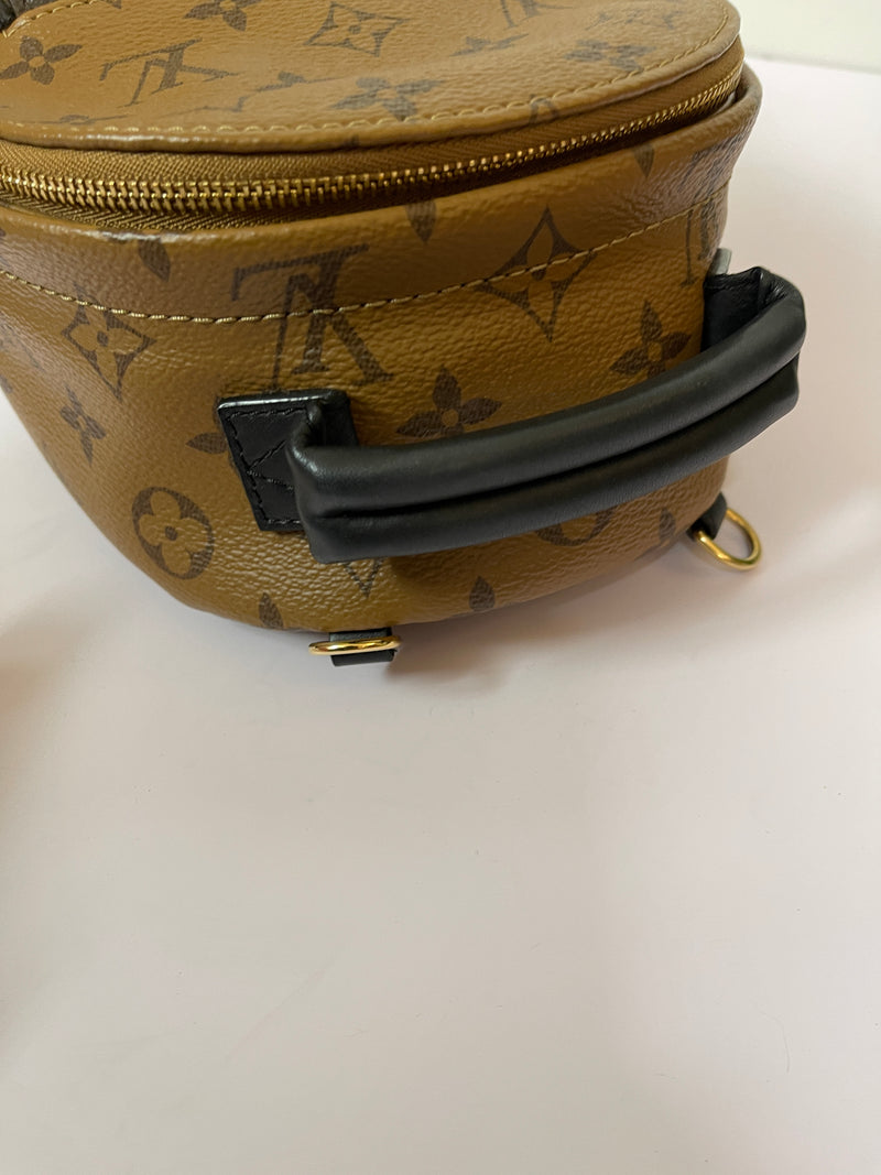 LOUIS VUITTON Palm Springs Reverse Monogram Mini