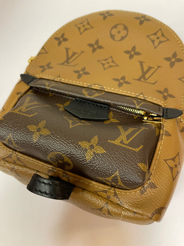 LOUIS VUITTON Palm Springs Reverse Monogram Mini