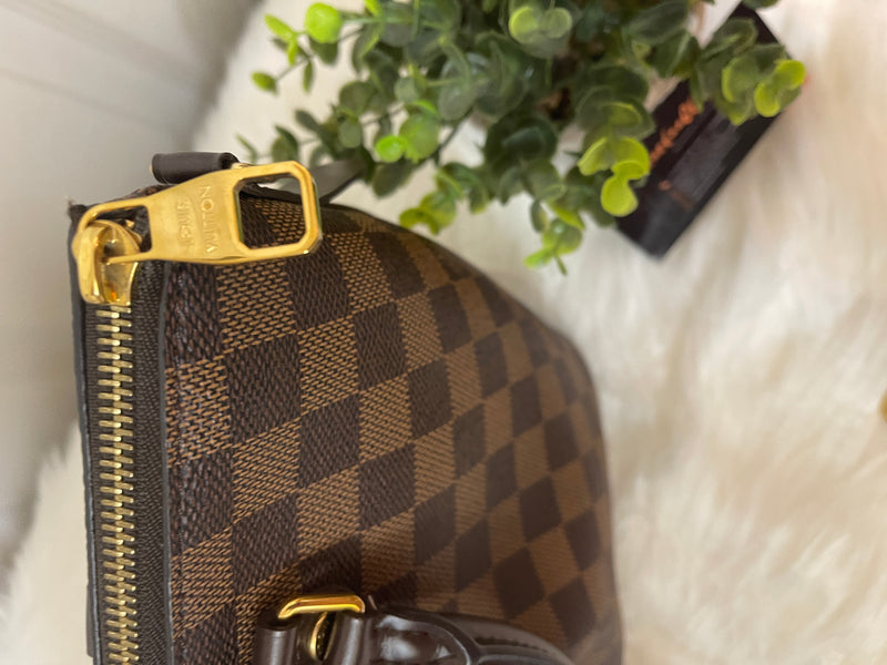 LOUIS VUITTON Siena Damier Ebene PM