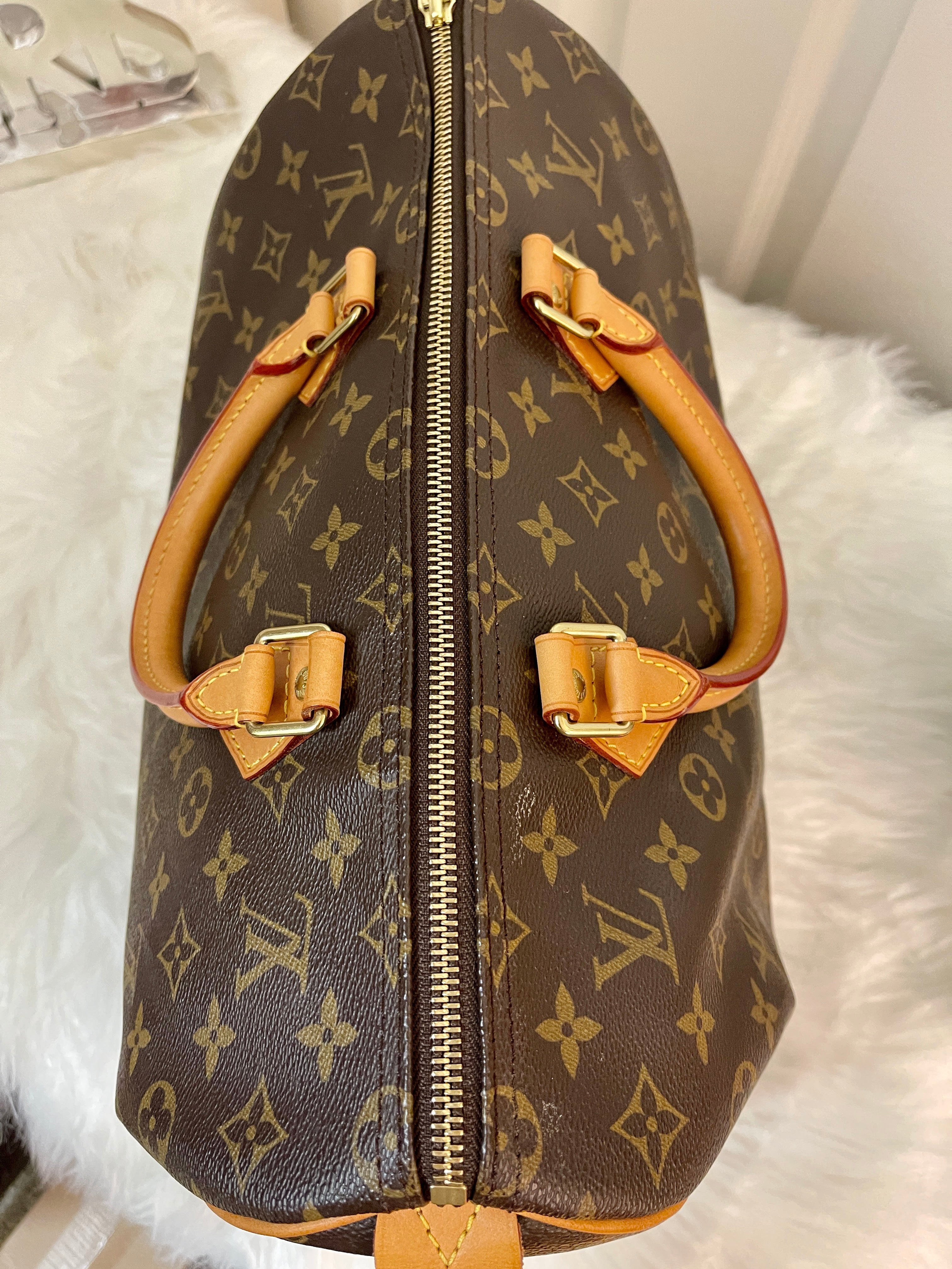 Customized Louis Vuitton Speedy 35 Legendary Love Handbag in Monogram Canvas