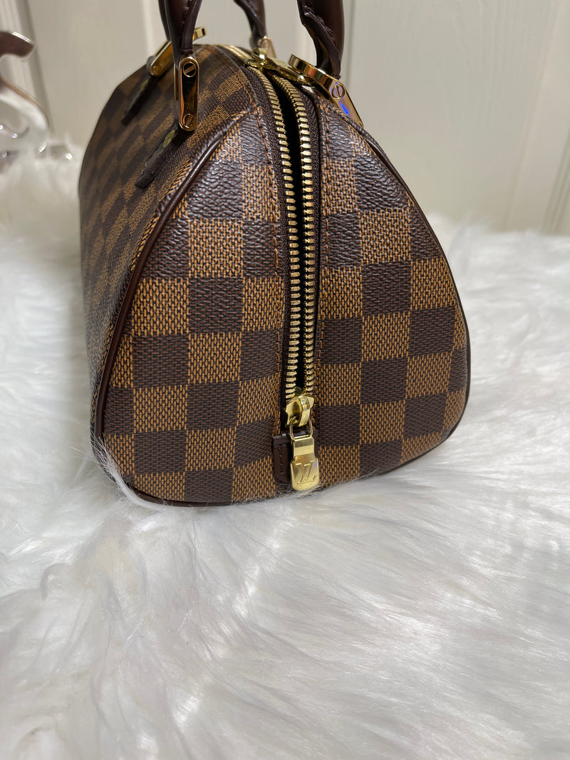 LOUIS VUITTON Damier Canvas Ribera Mini