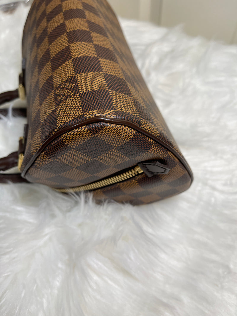 LOUIS VUITTON Damier Canvas Ribera Mini