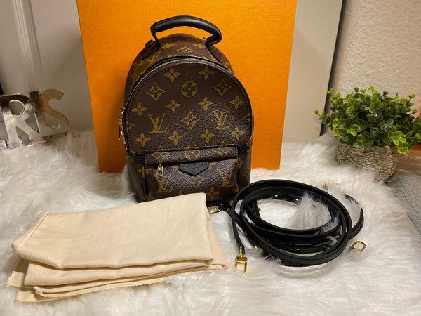 LOUIS VUITTON Palm Springs Monogram Mini