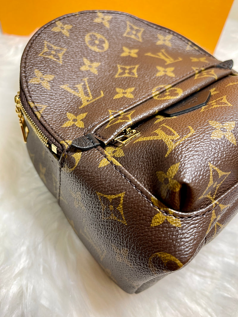 LOUIS VUITTON Palm Springs Monogram Mini