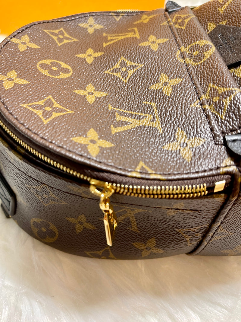 LOUIS VUITTON Palm Springs Monogram Mini