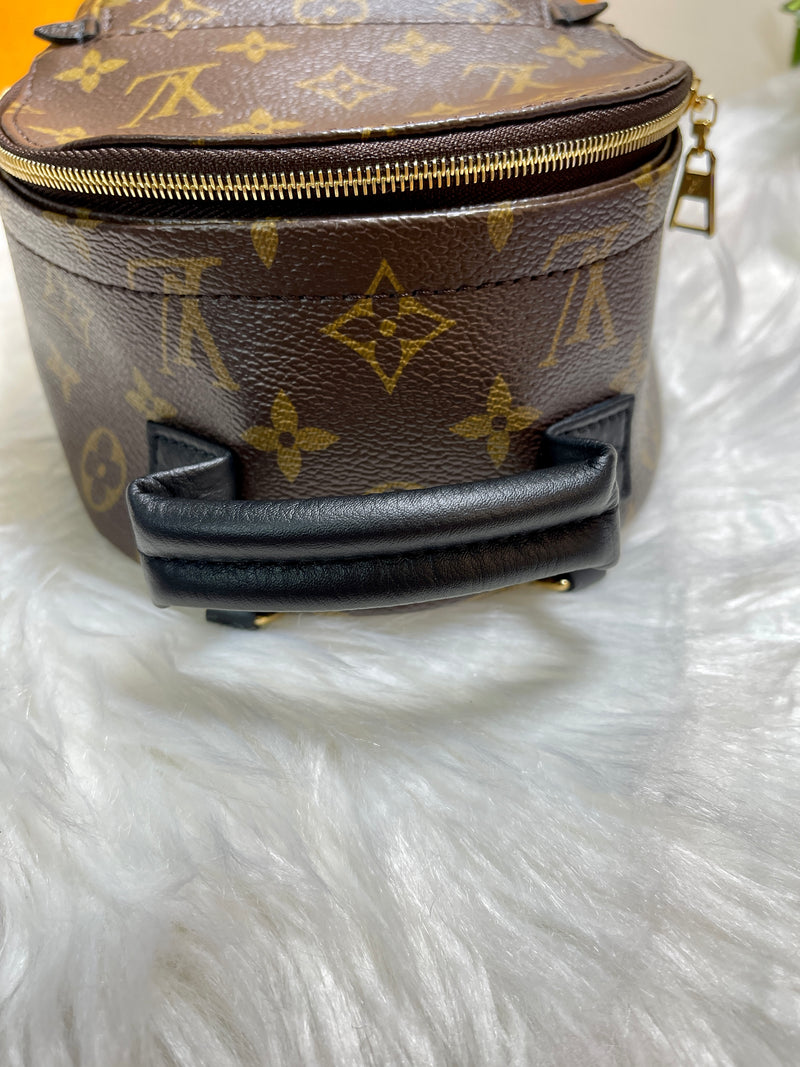 LOUIS VUITTON Palm Springs Monogram Mini