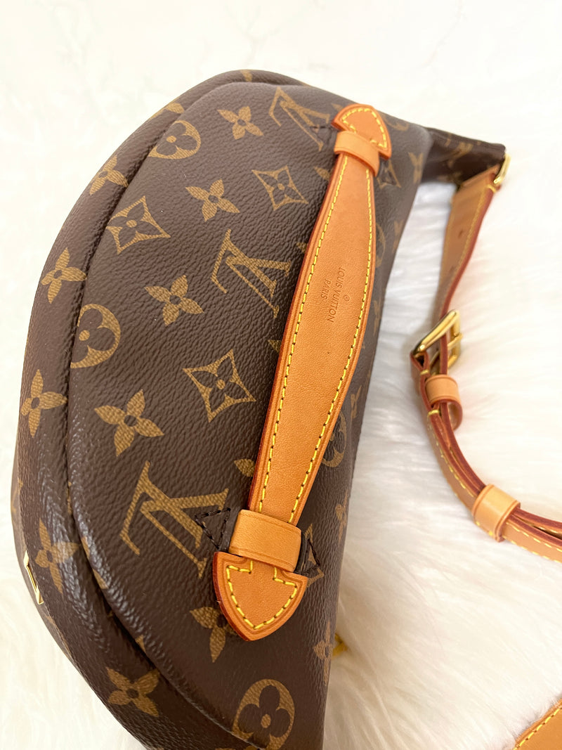 LOUIS VUITTON Monogram Bumbag