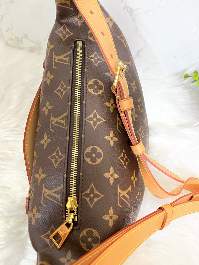 LOUIS VUITTON Monogram Bumbag