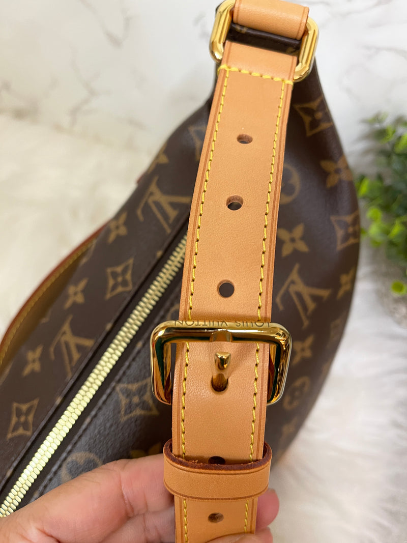 LOUIS VUITTON Monogram Bumbag