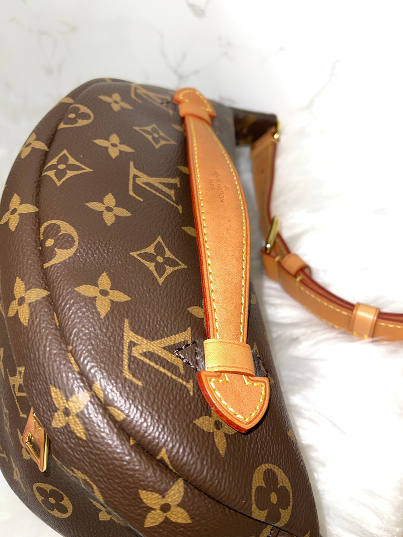 LOUIS VUITTON Monogram Bumbag