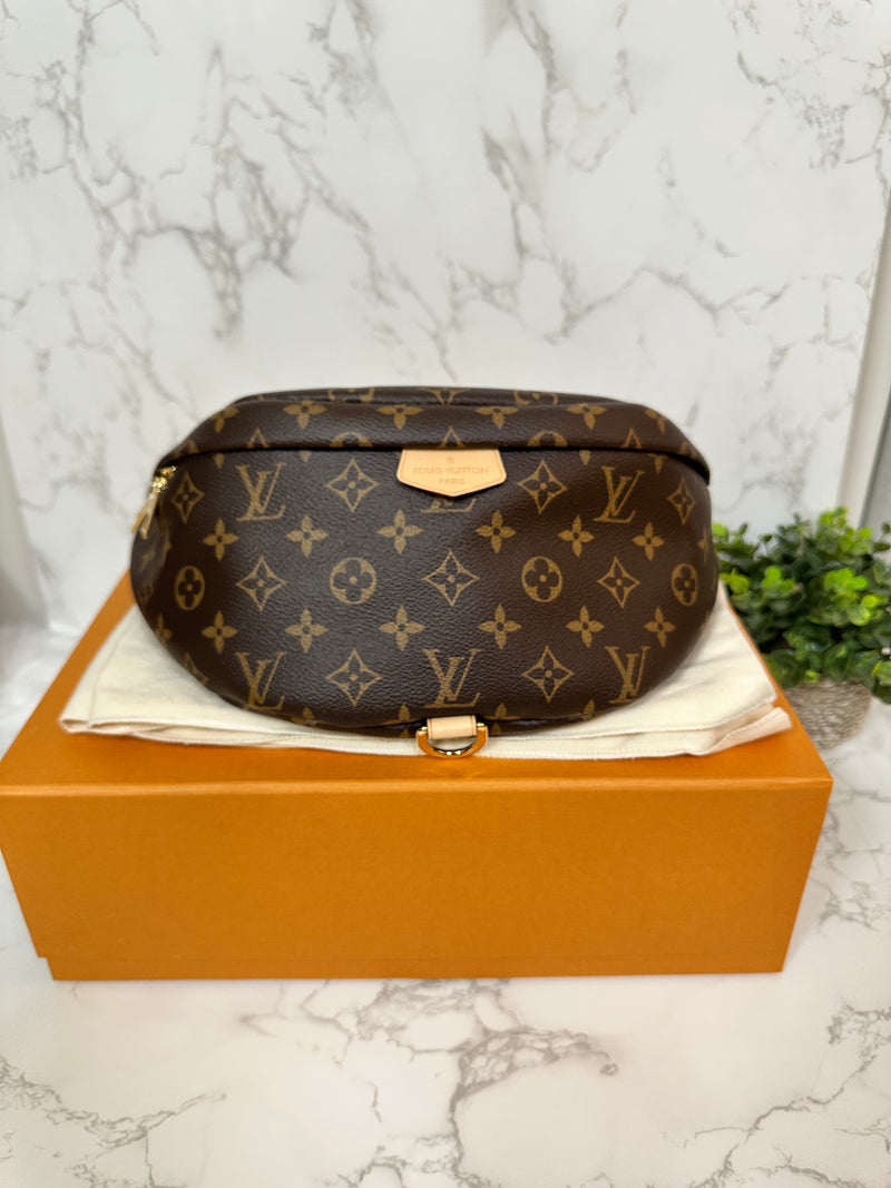 LOUIS VUITTON Monogram Bumbag