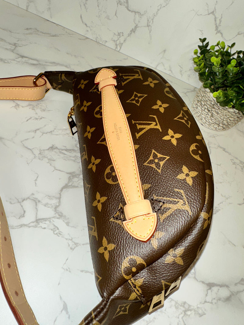 LOUIS VUITTON Monogram Bumbag