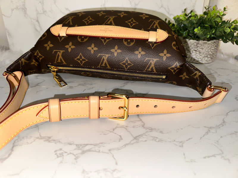 LOUIS VUITTON Monogram Bumbag