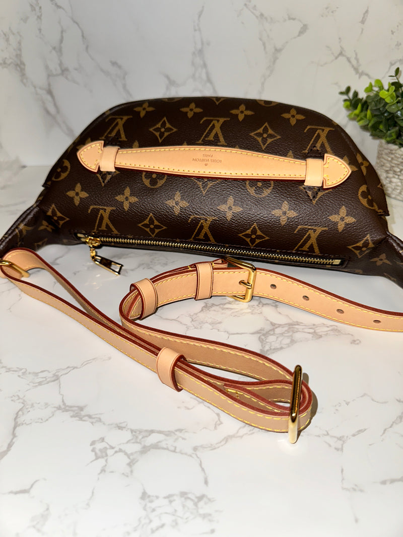 LOUIS VUITTON Monogram Bumbag