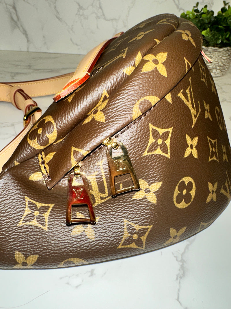 LOUIS VUITTON Monogram Bumbag