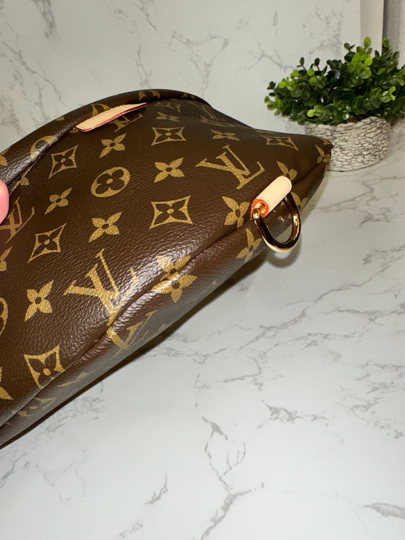 LOUIS VUITTON Monogram Bumbag