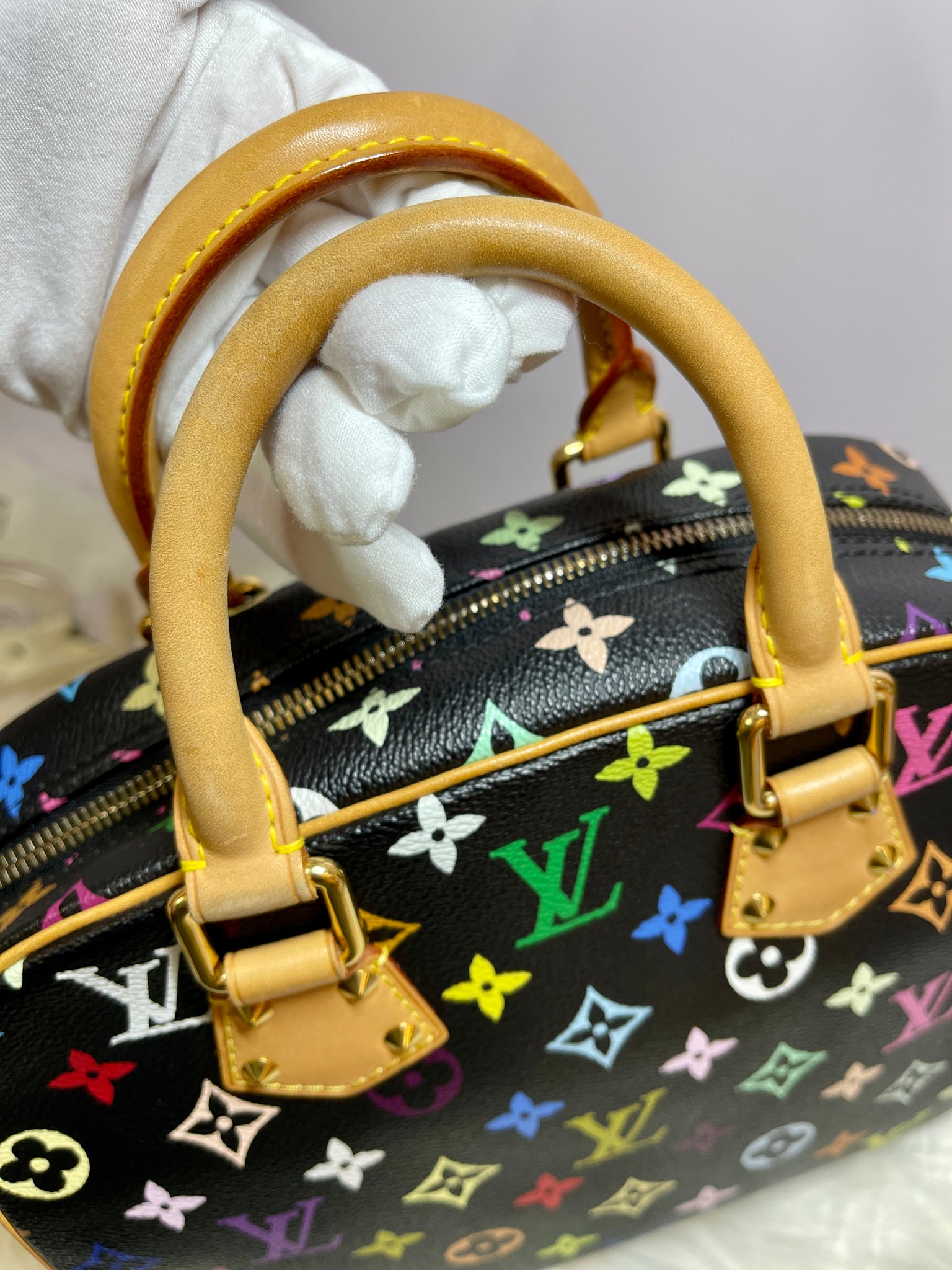 LOUIS VUITTON Speedy 30 Multi-Color – PearlaaClosetLLC